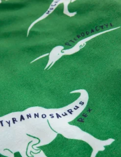 Snug Glow-In-The-Dark Pajamas-Highland Green Dino-Boden Store