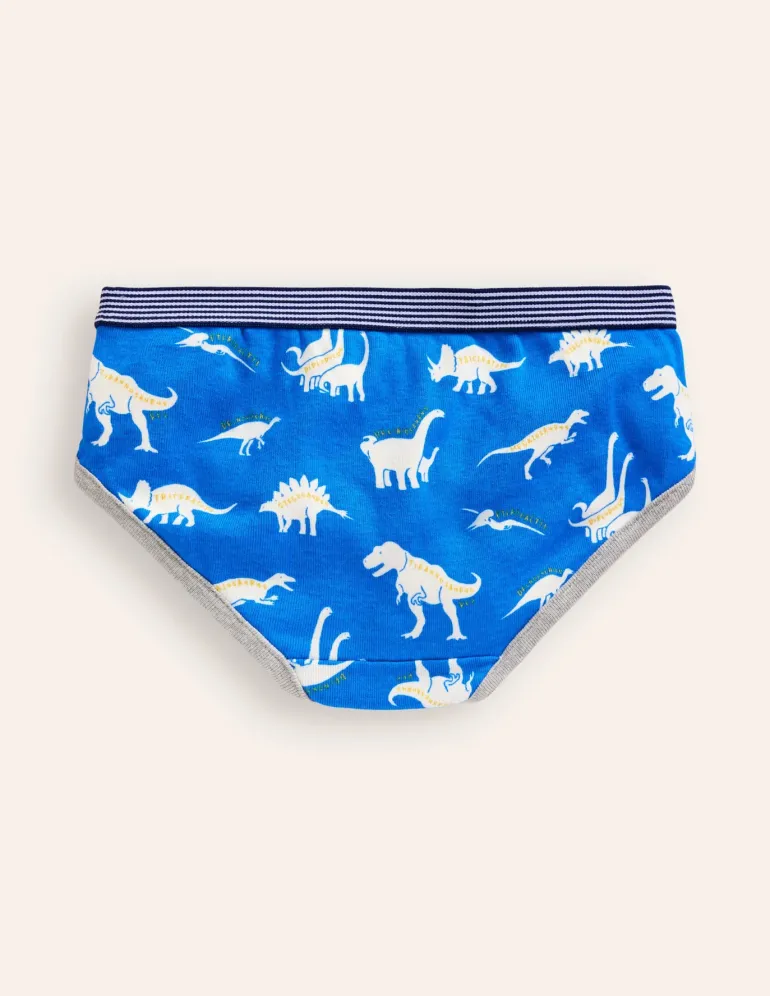 Underwear 5 Pack-Multi Dino Wordle-Boden Outlet