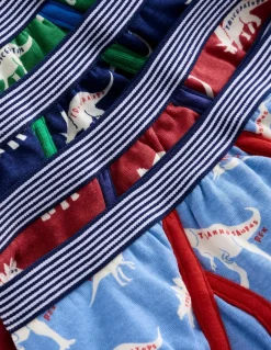 Underwear 5 Pack-Multi Dino Wordle-Boden Outlet