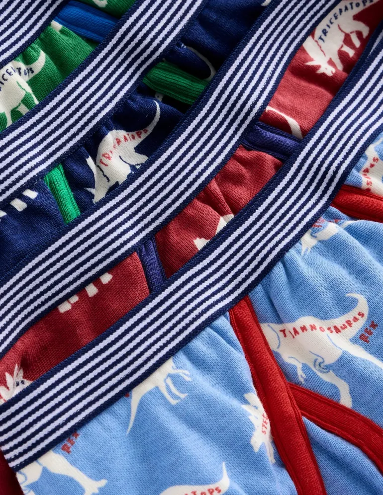 Underwear 5 Pack-Multi Dino Wordle-Boden Outlet